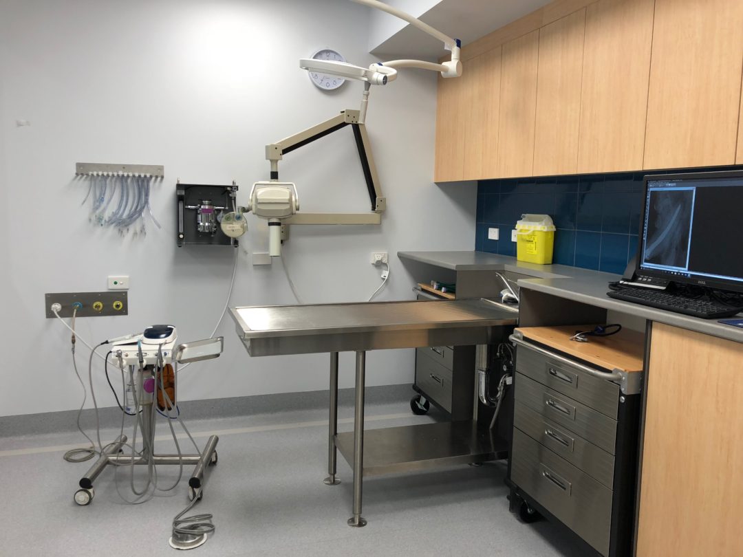 Dentistry at the Northside Veterinary Centre NORTHSIDE VETERINARY CENTRE