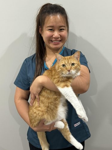 Dr Ashley holding a relaxed orange cat
