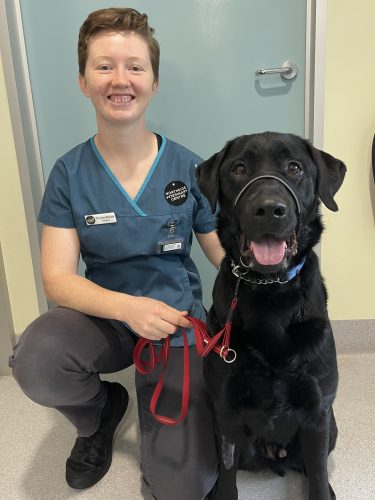 Dr Clare smiling beside a happy black labrador