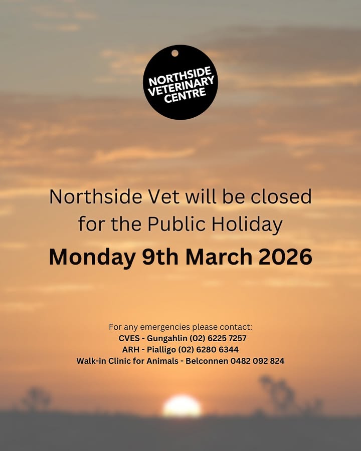 Northside Veterinary Centre