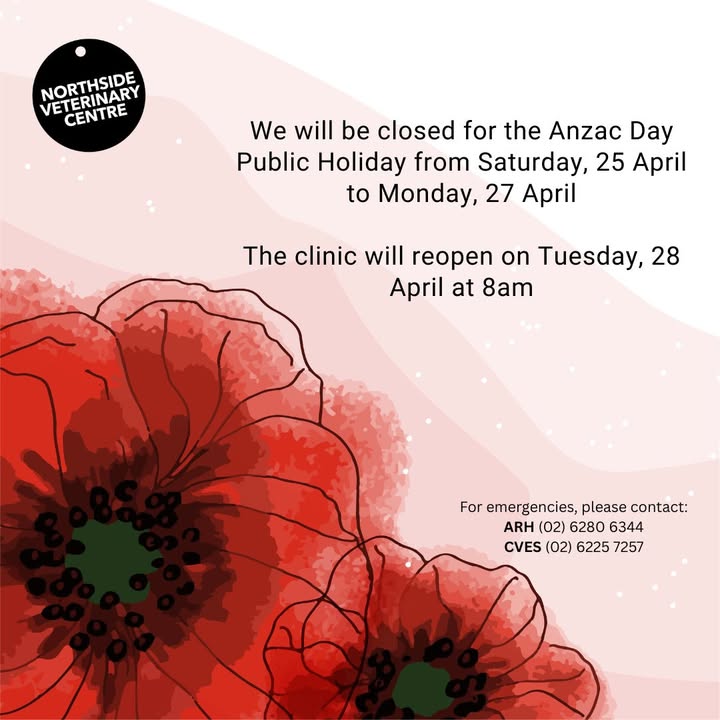 Northside Veterinary Centre