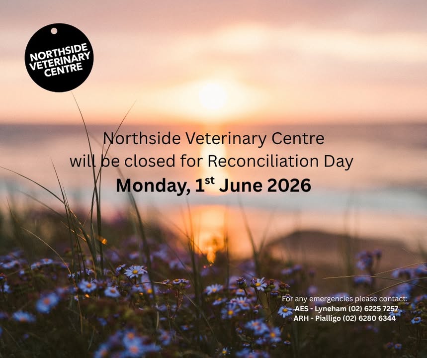 Northside Veterinary Centre