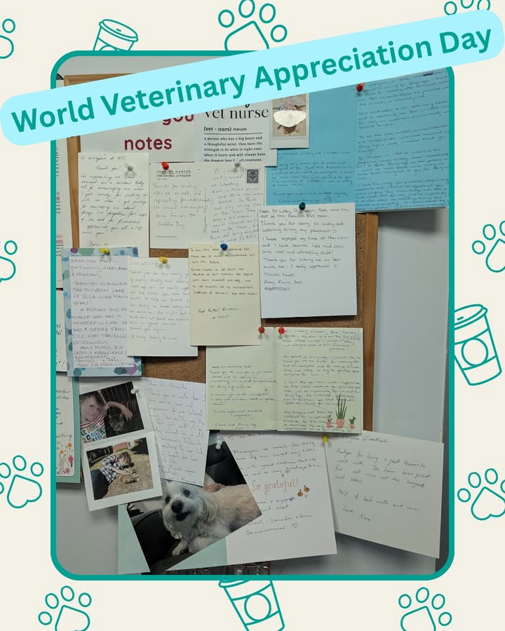Northside Veterinary Centre