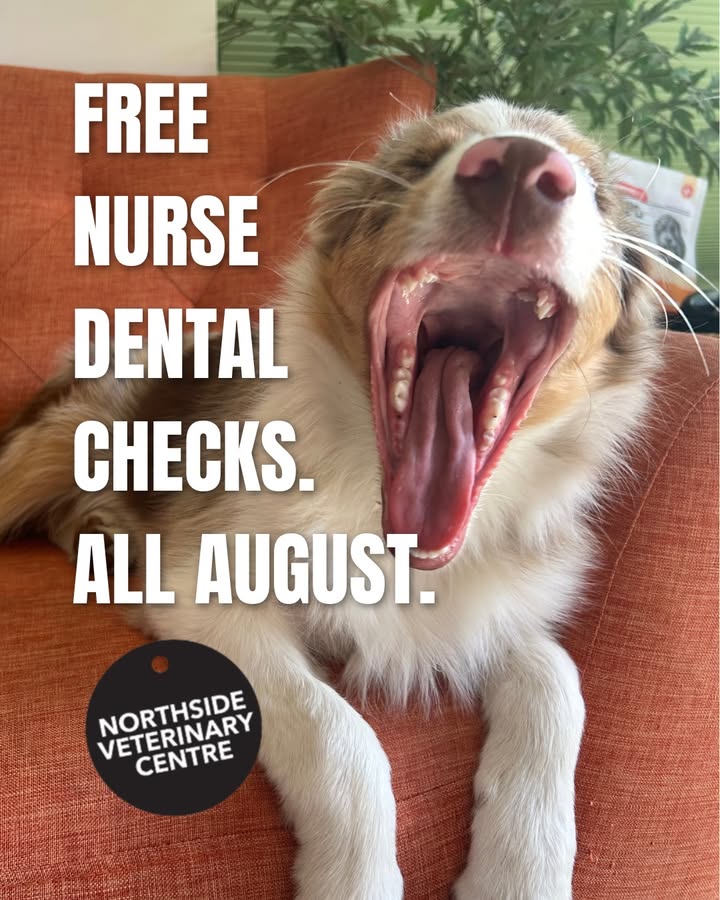 Northside Veterinary Centre