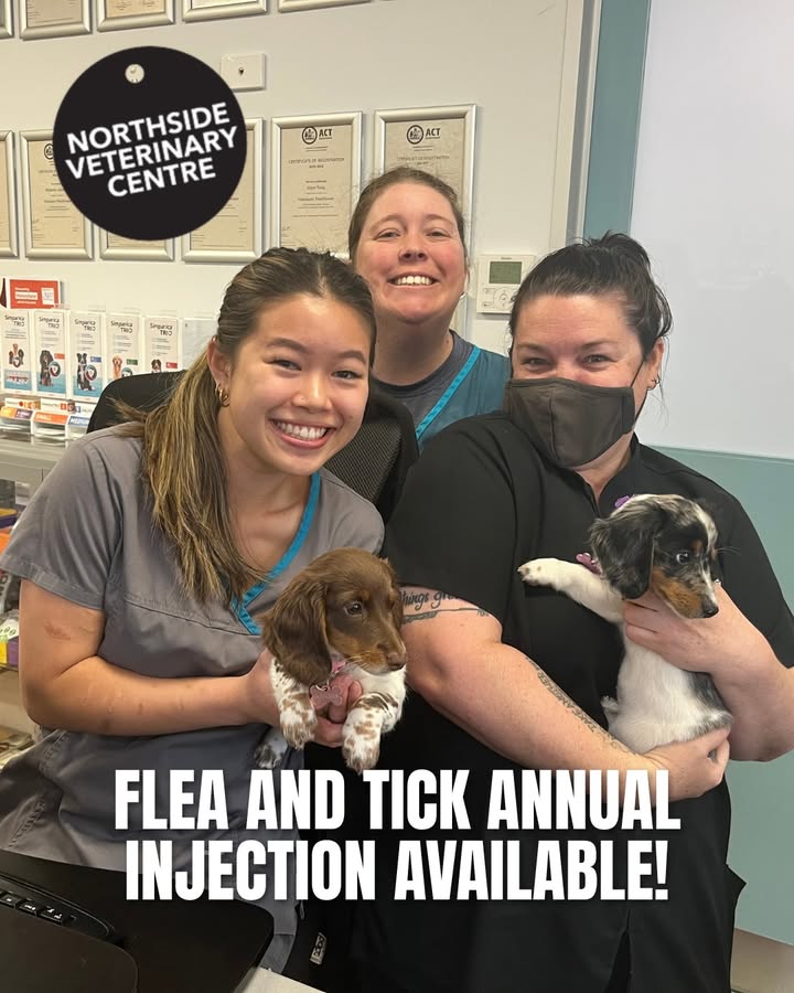 Northside Veterinary Centre