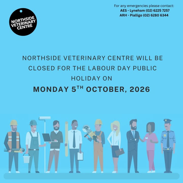 Northside Veterinary Centre