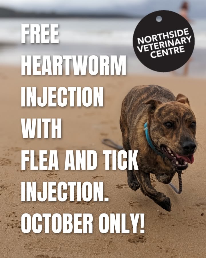 Northside Veterinary Centre